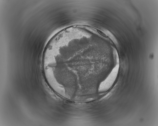 X0000089921052200707271732