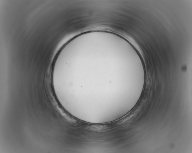 X0000089921053200707271732