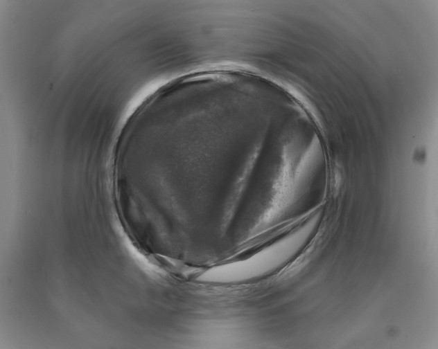 X0000089921054200707271732