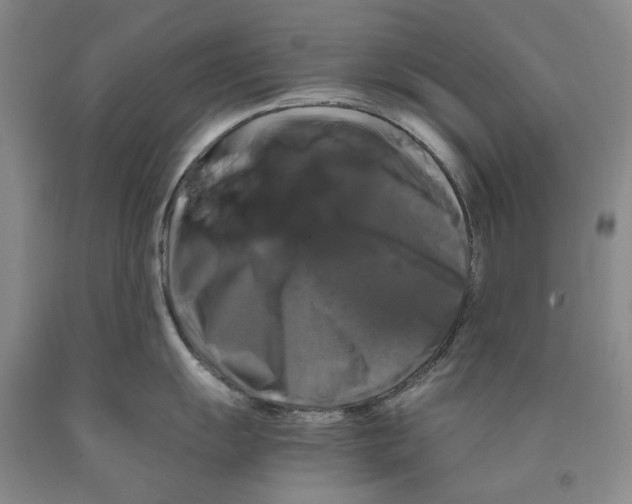 X0000089921055200707271732