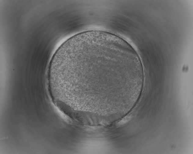 X0000089921056200707271732