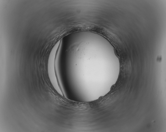 X0000089921058200707271731