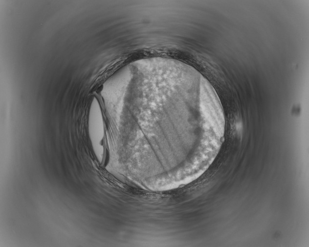 X0000089921060200707271731