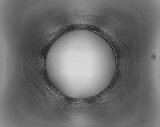 X0000089921061200707271731