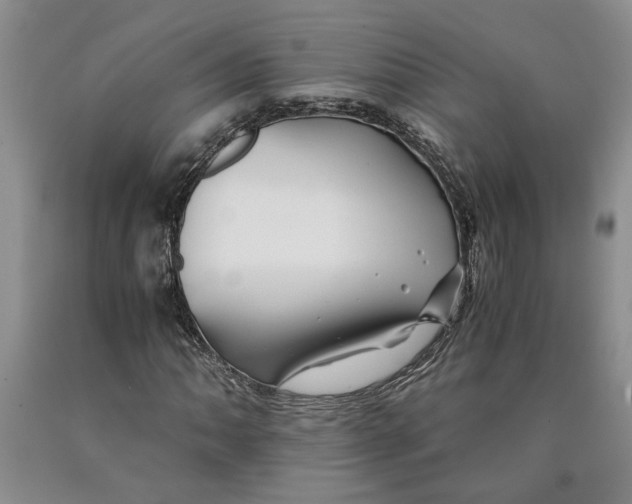 X0000089921062200707271731