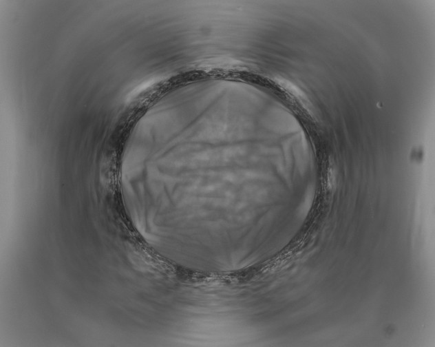 X0000089921063200707271731