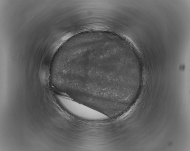 X0000089921065200707271731