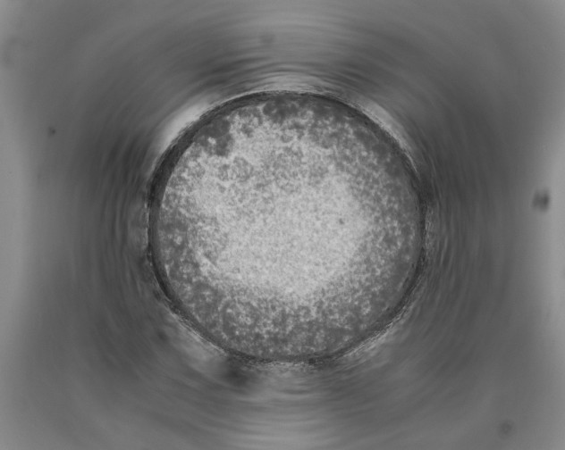 X0000089921067200707271731