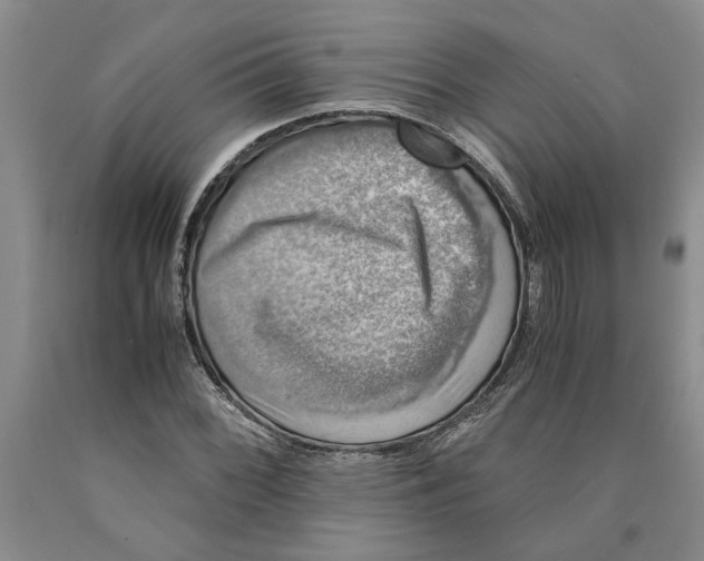 X0000089921068200707271731