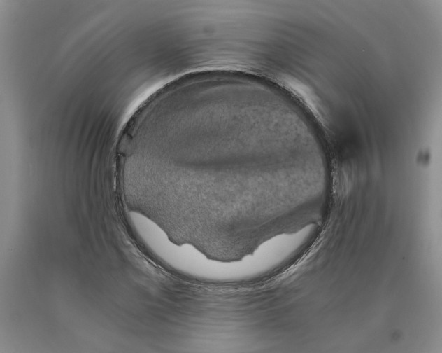 X0000089921069200707271731