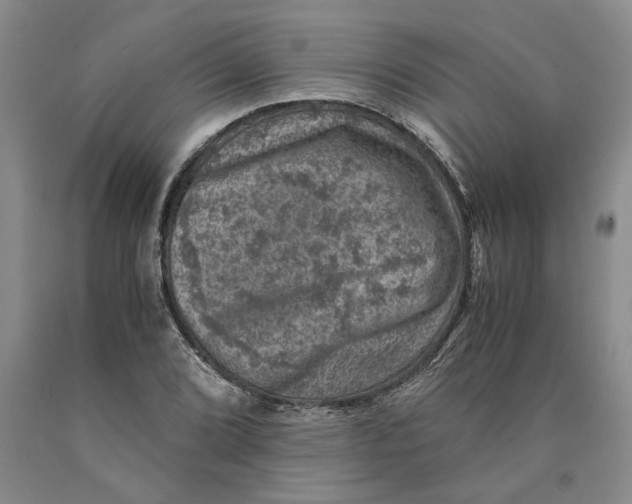 X0000089921072200707271731