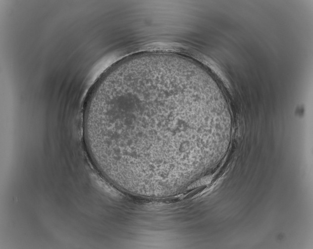 X0000089921075200707271731