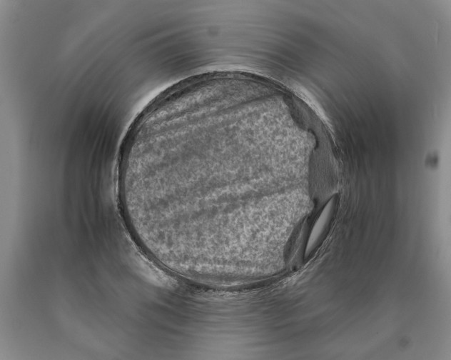 X0000089921076200707271731