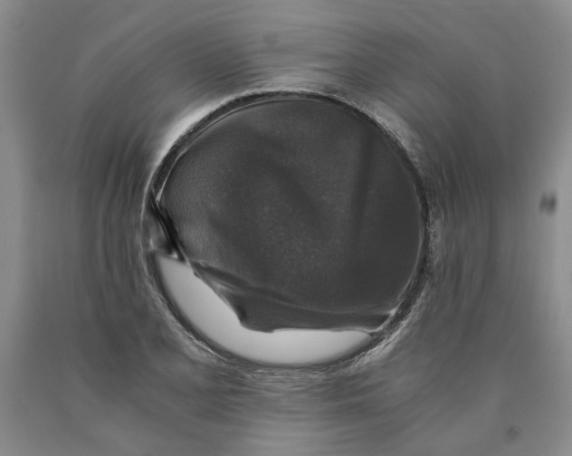 X0000089921077200707271731