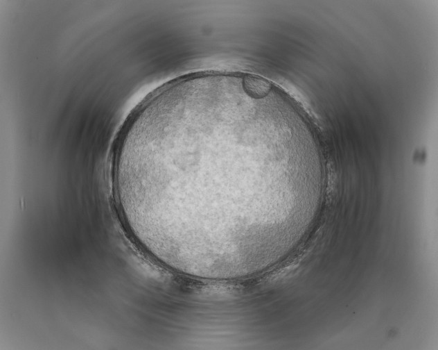 X0000089921078200707271731