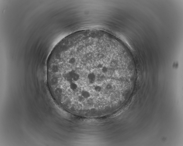 X0000089921079200707271731