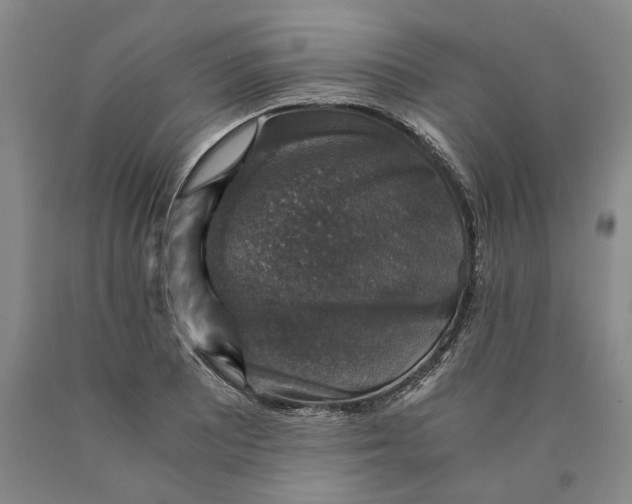 X0000089921081200707271731