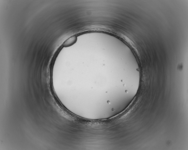 X0000089921082200707271731