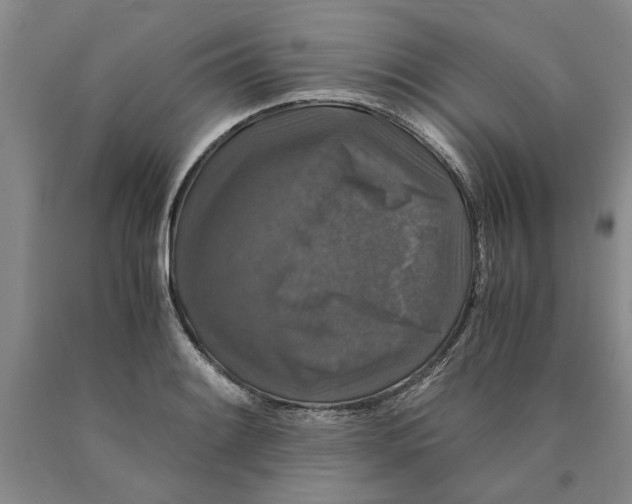 X0000089921084200707271731