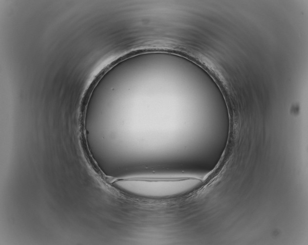 X0000089921085200707271731