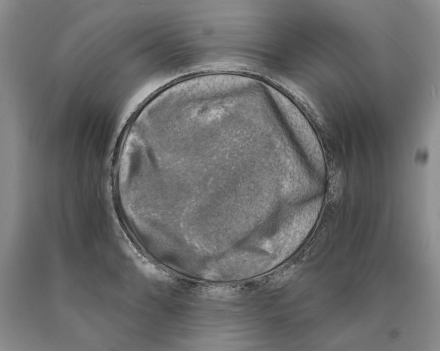 X0000089921086200707271731