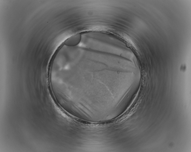 X0000089921087200707271731