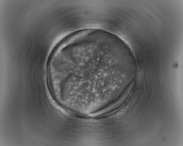 X0000089921088200707271731