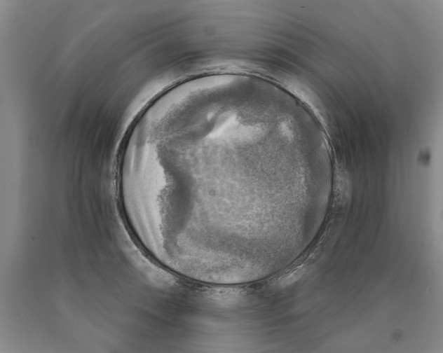 X0000089921090200707271731