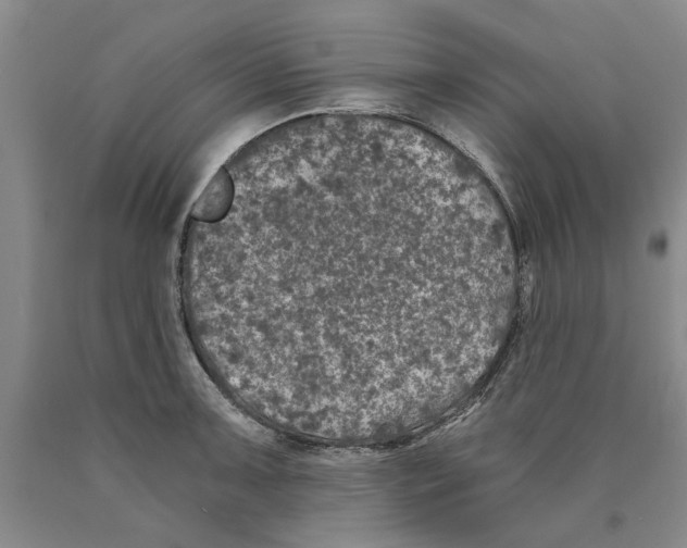 X0000089921091200707271731