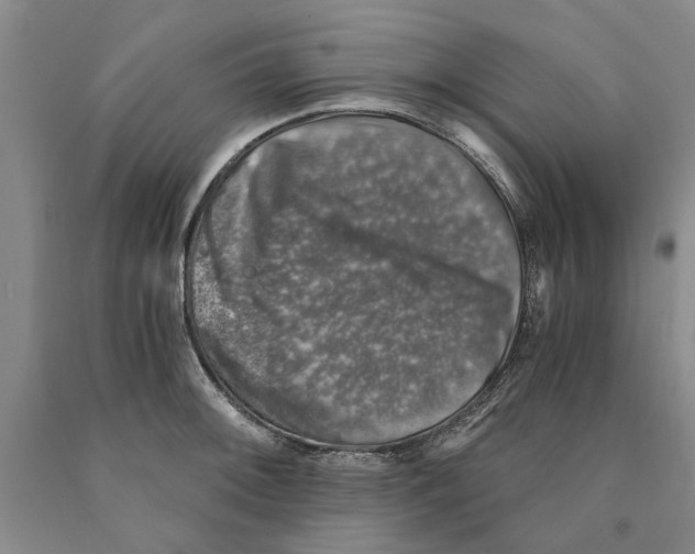 X0000089921092200707271731