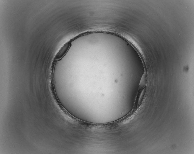 X0000089921093200707271731