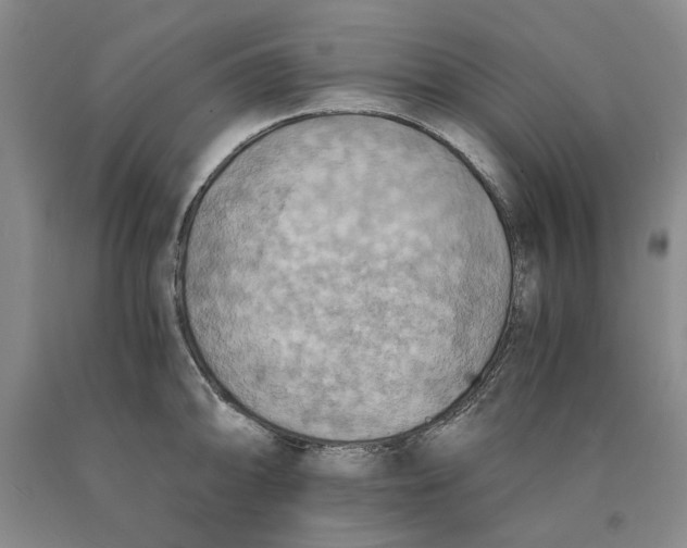 X0000089921094200707271731