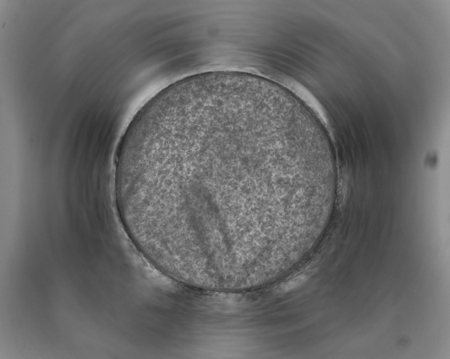 X0000089921096200707271731