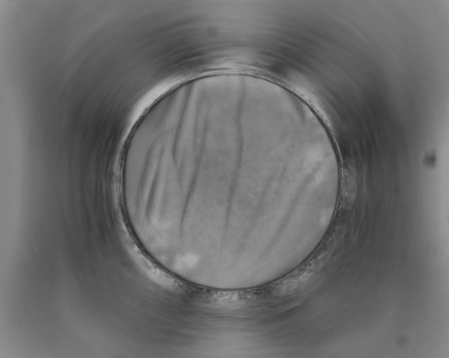 X0000089921098200707271731