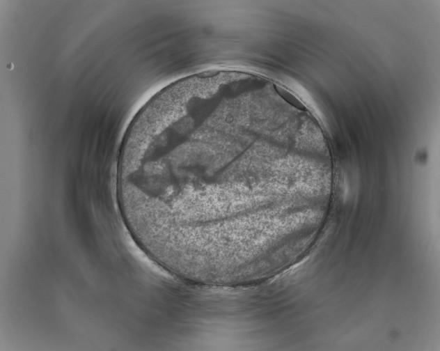 X0000089921100200707271731