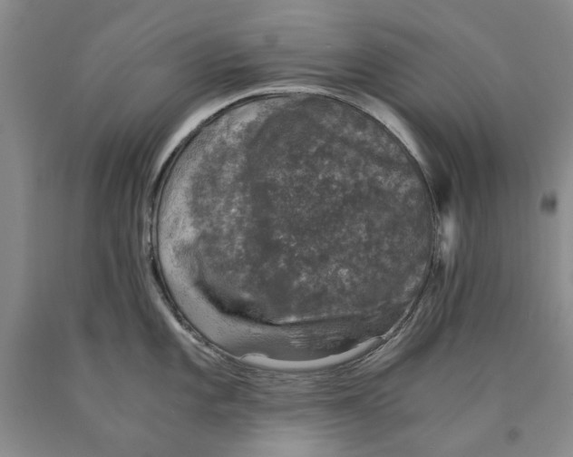 X0000089921101200707271731