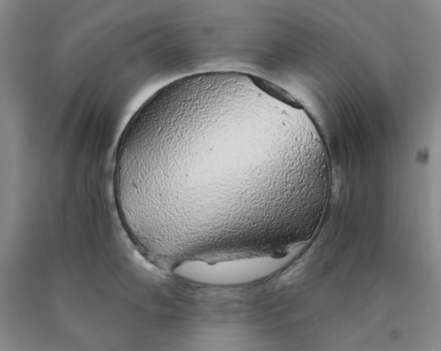 X0000089921102200707271731