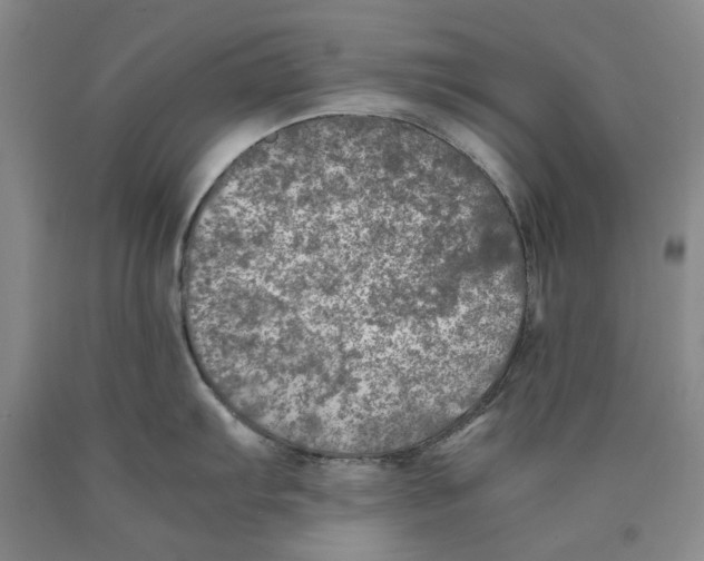 X0000089921103200707271731