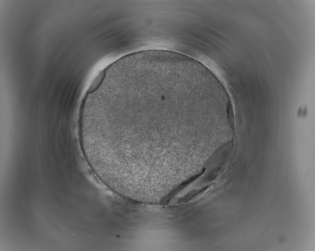 X0000089921104200707271731