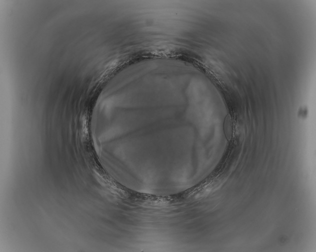 X0000089921106200707271730