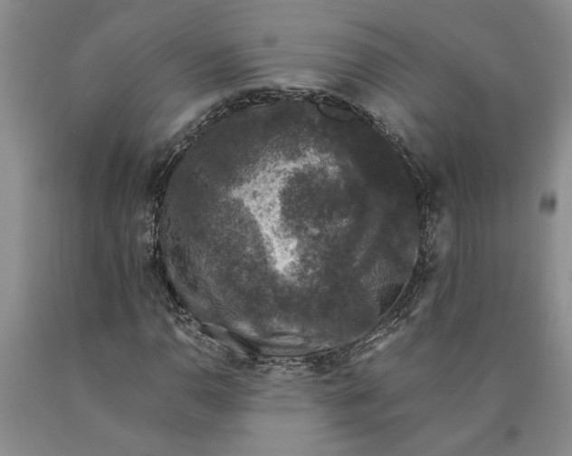 X0000089921110200707271730