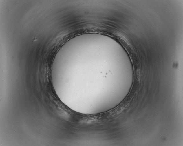 X0000089921111200707271730