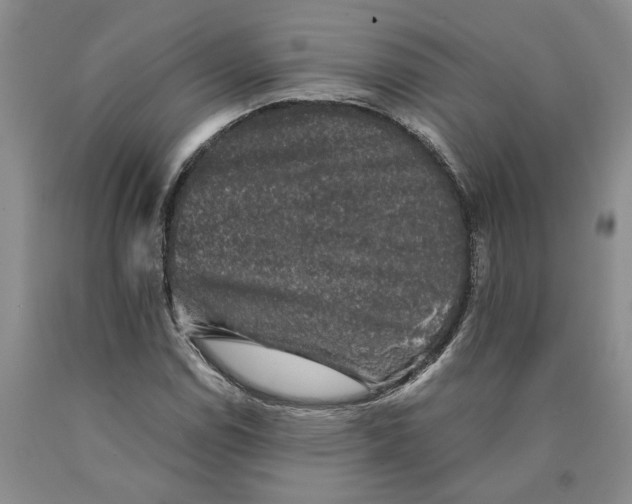 X0000089921114200707271730