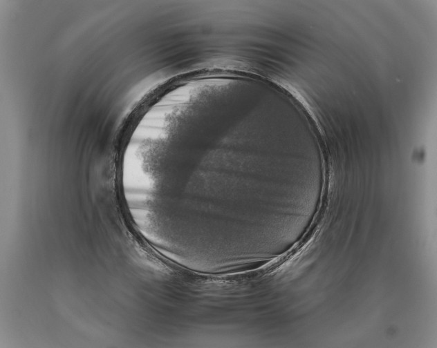 X0000089921115200707271730