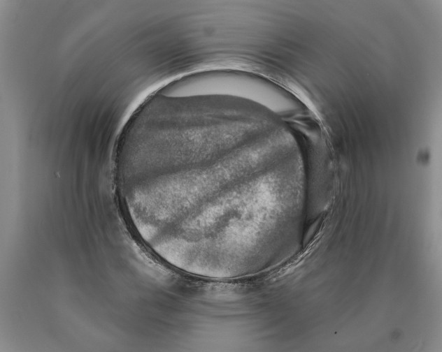 X0000089921116200707271730