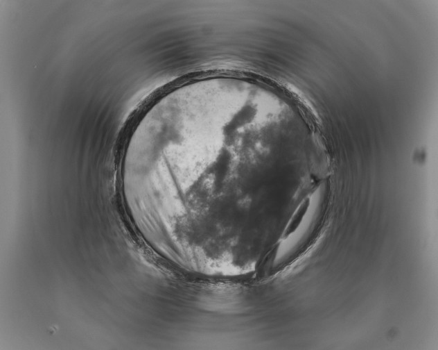 X0000089921117200707271730