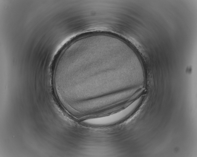 X0000089921118200707271730