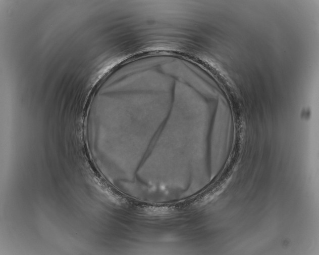 X0000089921121200707271730