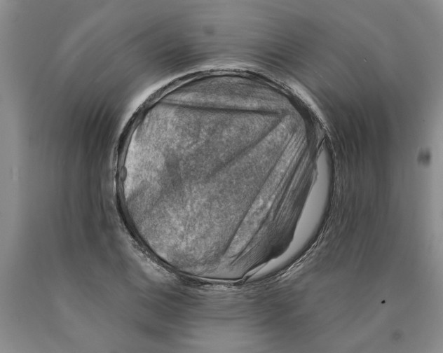 X0000089921124200707271730