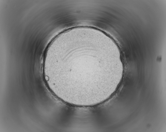 X0000089921126200707271730